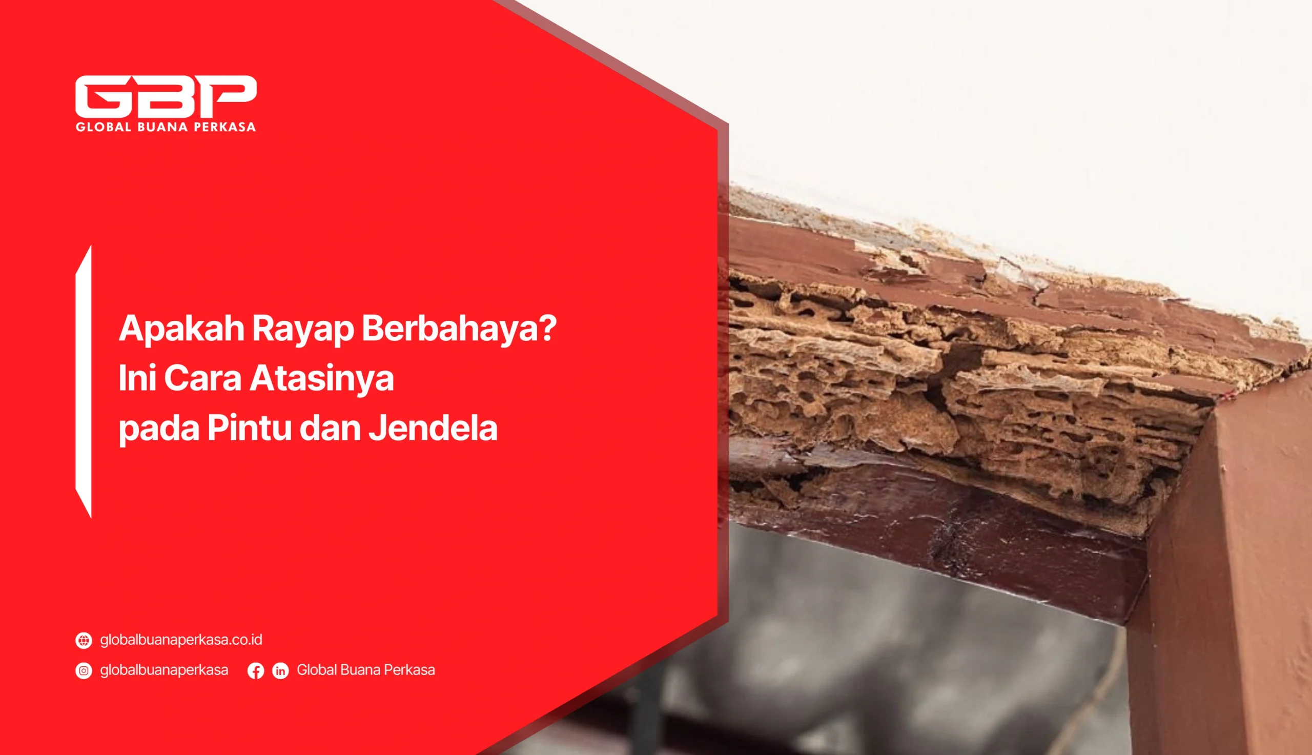 Apakah Rayap Berbahaya? Ini Cara Atasinya pada Pintu Jendela