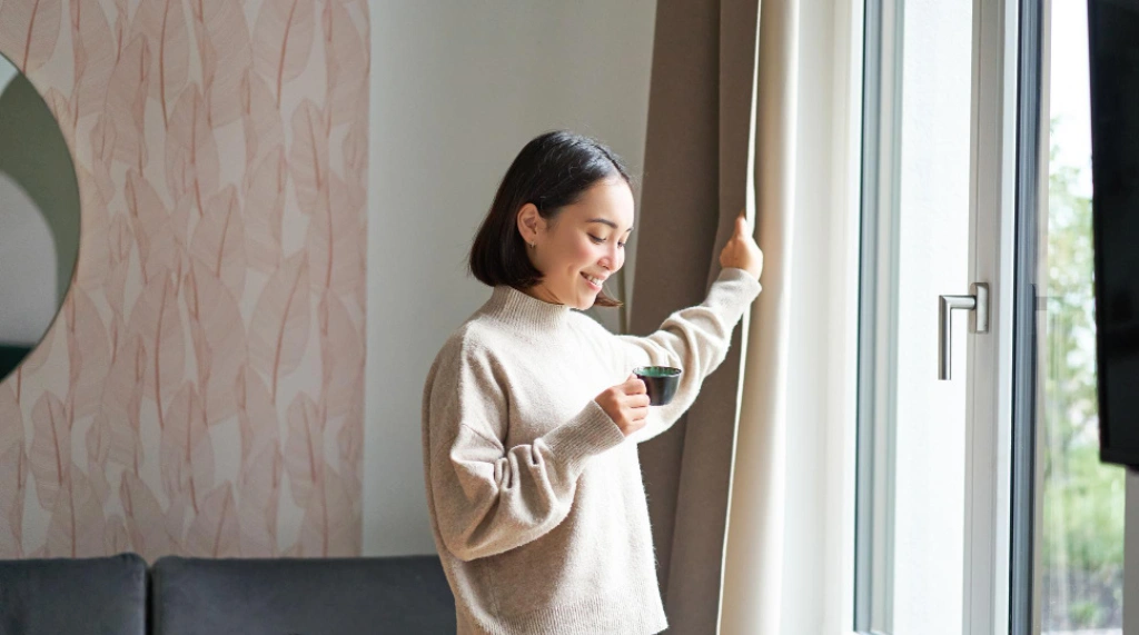 Tips Memilih Rambuncis Jendela