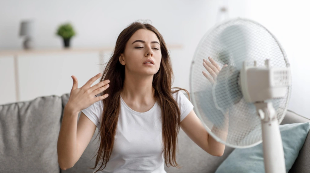 Apa Penyebab Hawa Rumah Panas